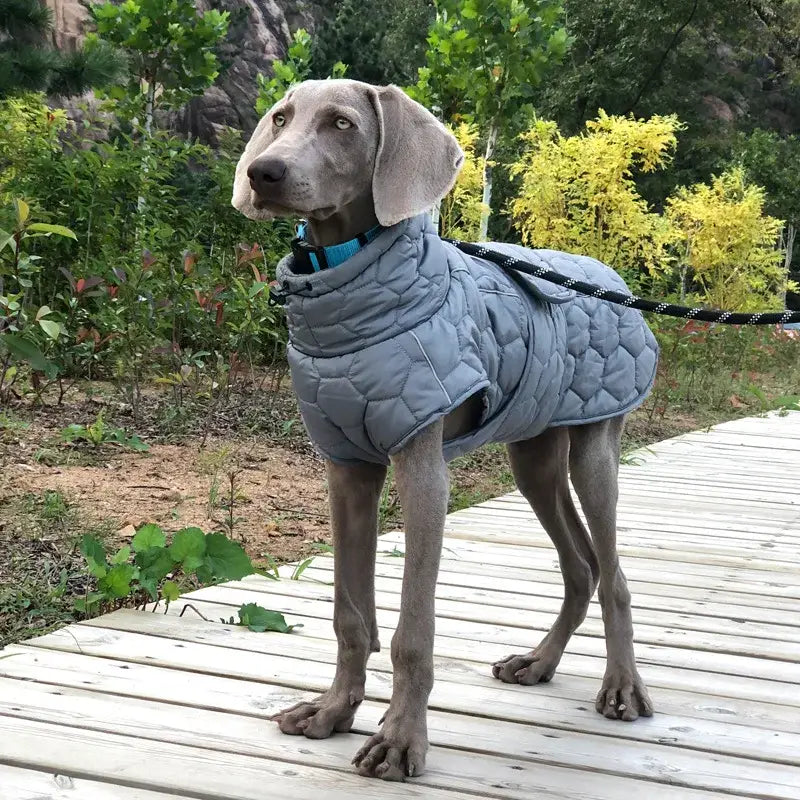 Vêtements chauds à col roulé pour chiens - Gray / XXL