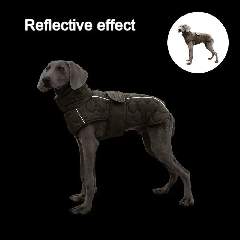Vêtements chauds à col roulé pour chiens