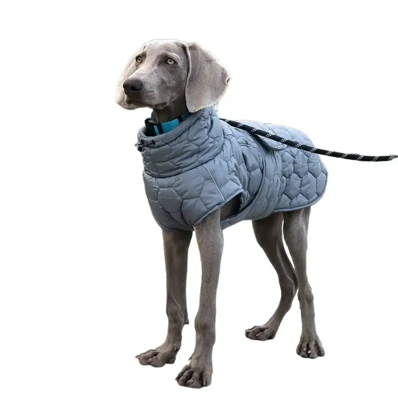 Vêtements chauds à col roulé pour chiens