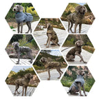 Vêtements chauds à col roulé pour chiens