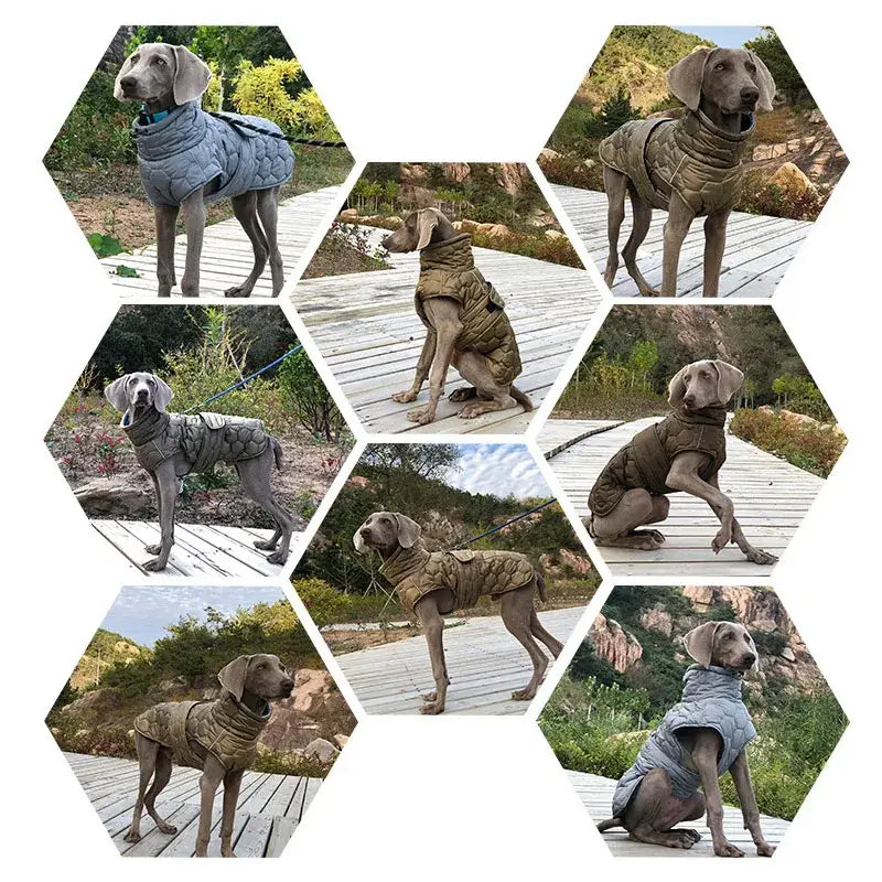 Vêtements chauds à col roulé pour chiens