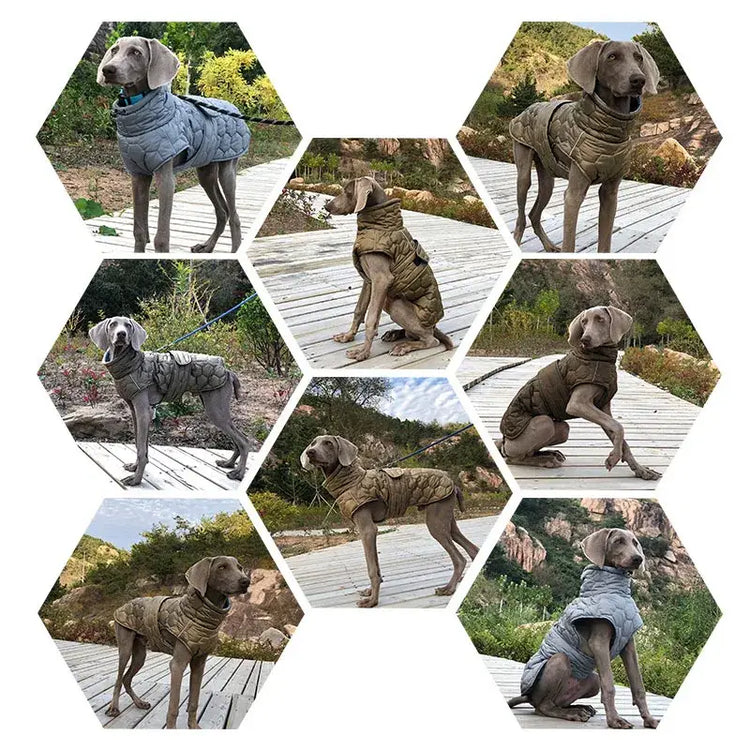 Vêtements chauds à col roulé pour chiens