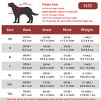 Vêtements chauds pour chiens