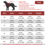 Vêtements chauds pour chiens