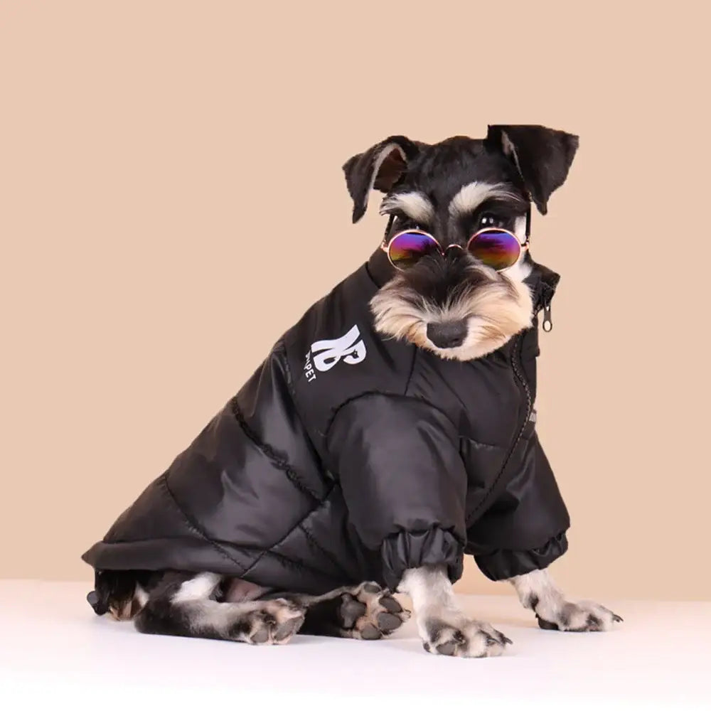 Vêtements chauds pour chiens
