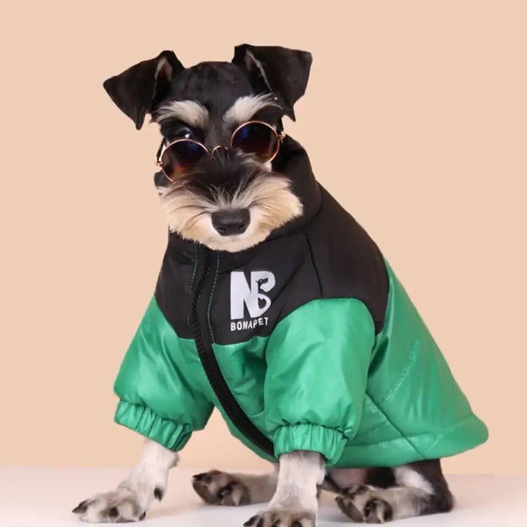 Vêtements chauds pour chiens