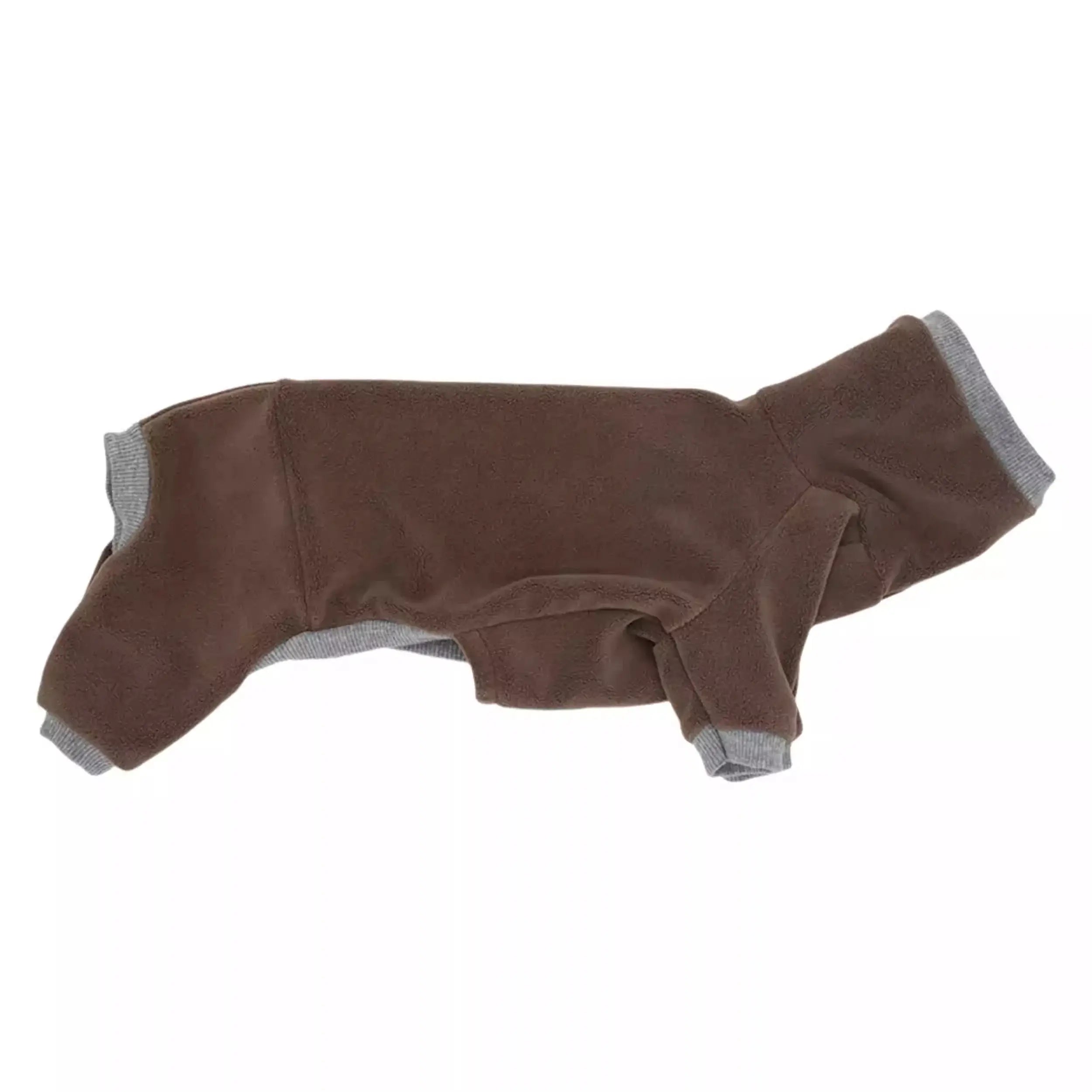 Vêtements chauds pour teckel