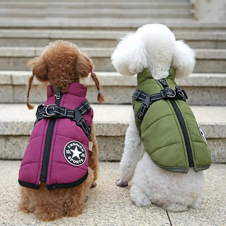Vêtements d’hiver pour chien avec harnais