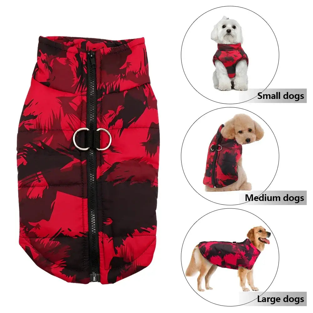 Vêtements d’hiver pour chiens