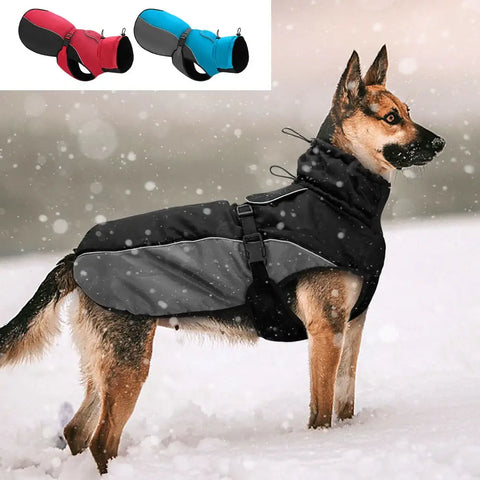 Vêtements imperméables pour grands chiens