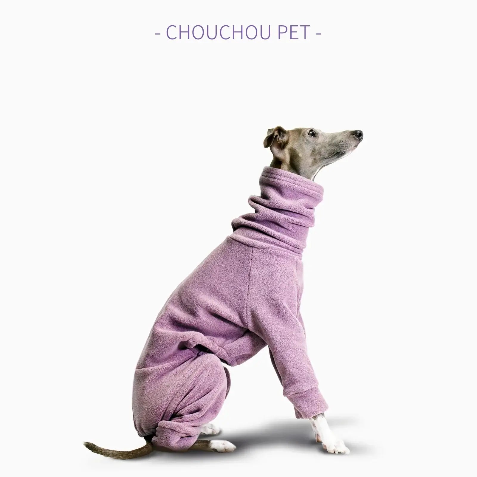 vêtements pour animaux de compagnie Lévrier italien