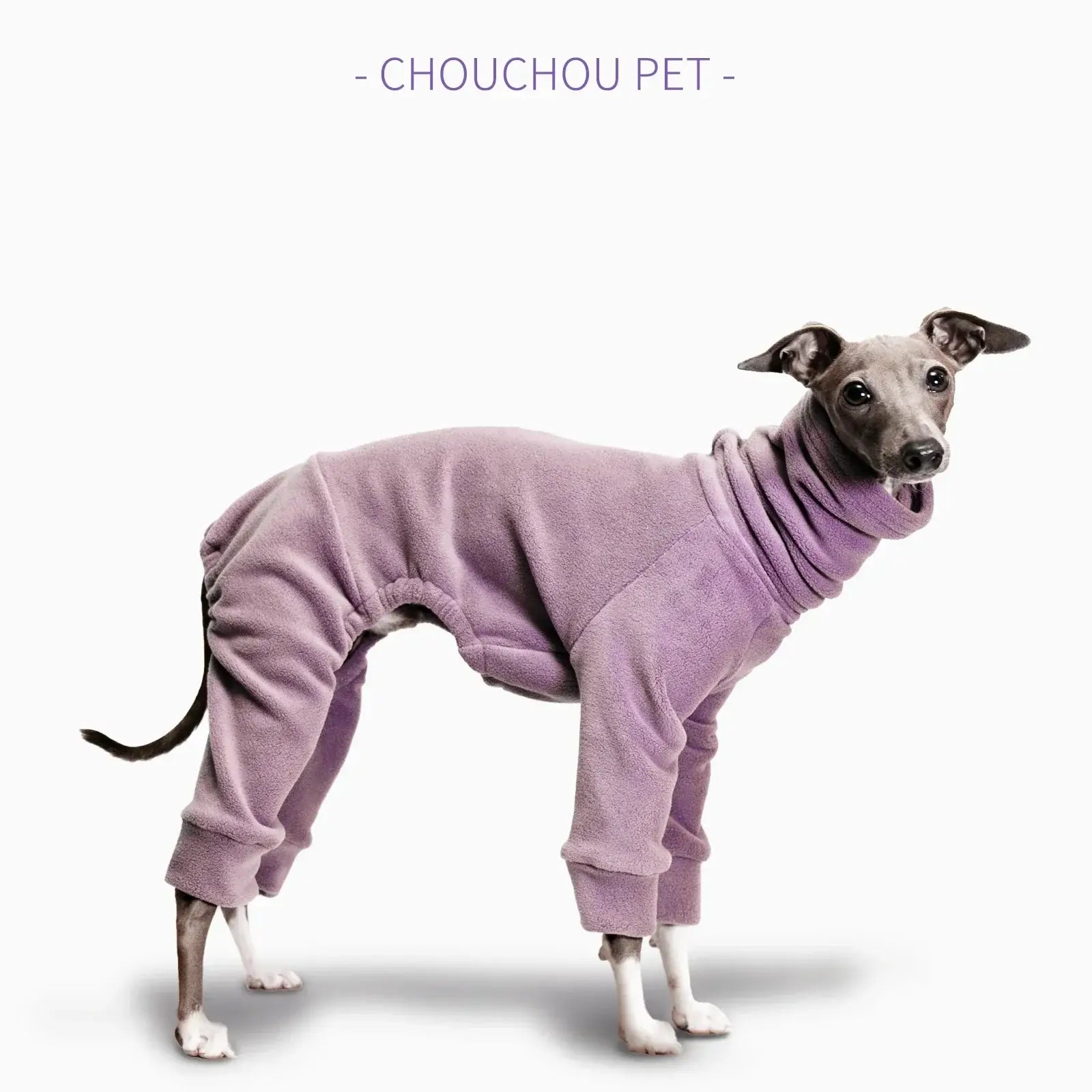 vêtements pour animaux de compagnie Lévrier italien