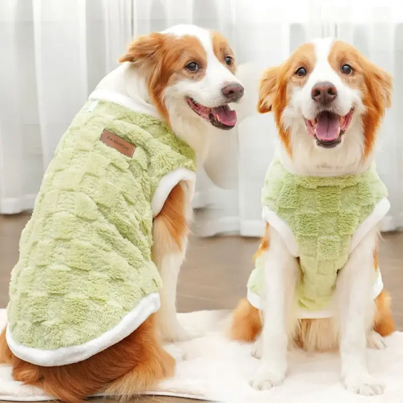 Vêtements pour animaux de compagnie transfrontaliers