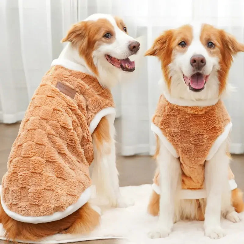 Vêtements pour animaux de compagnie transfrontaliers