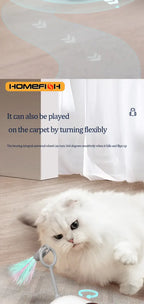Voiture intelligente pour chat