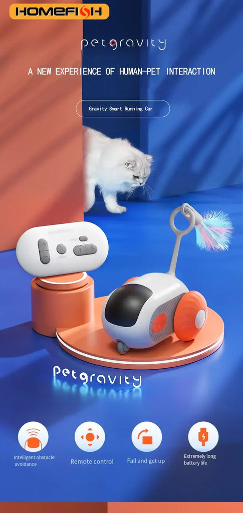 Voiture intelligente pour chat